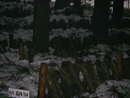 今だ雪に埋もれる菌床しいたけ
